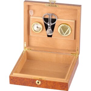 Humidor Wurzelholzdekor abschließbar