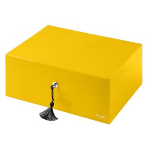 Caseti Humidor Paris gelb